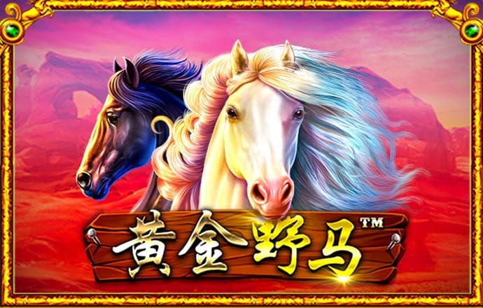 巴沙体育入口