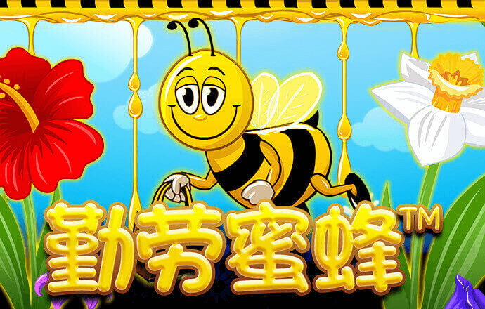 开心100彩票官网
